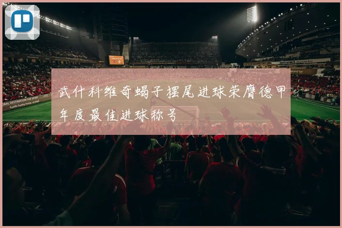 武什科维奇蝎子摆尾进球荣膺德甲年度最佳进球称号