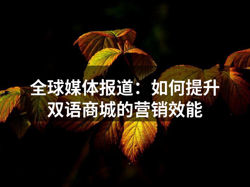 媒体报道助力双语商城品牌建设