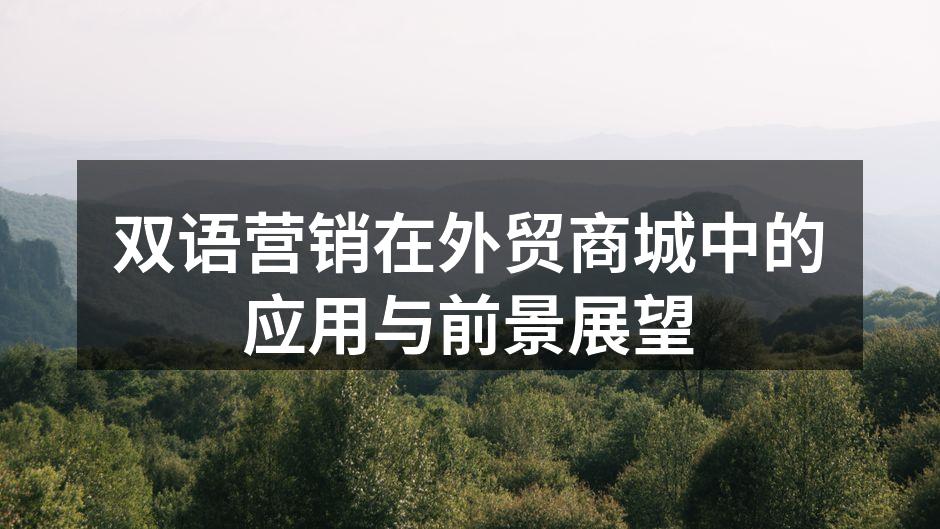 双语营销助力外贸成功