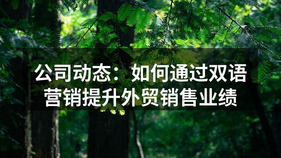 双语营销提升客户体验