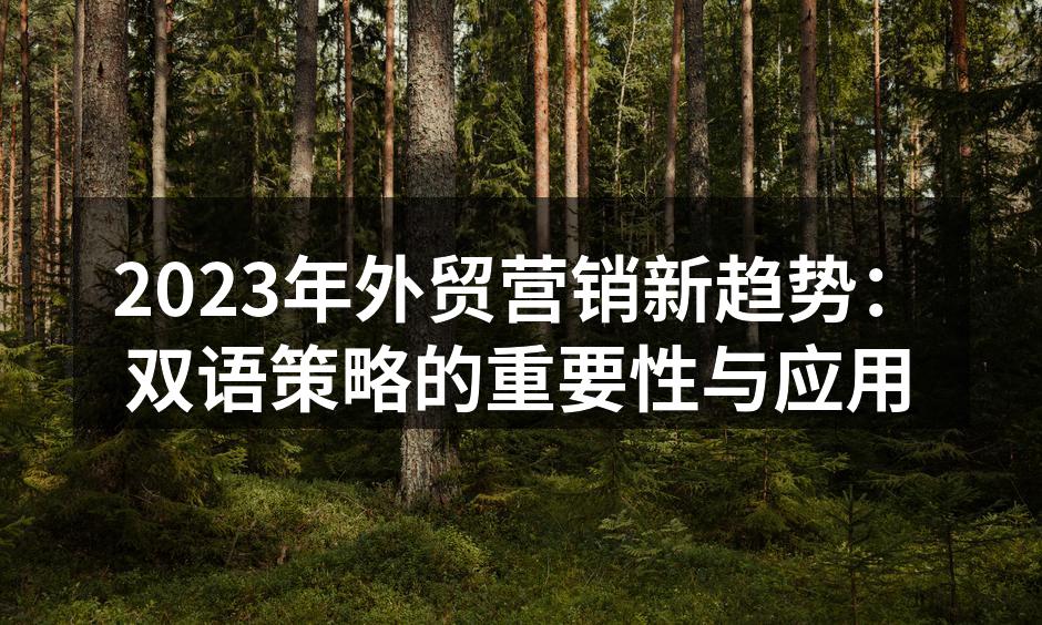 双语营销助力外贸企业成功