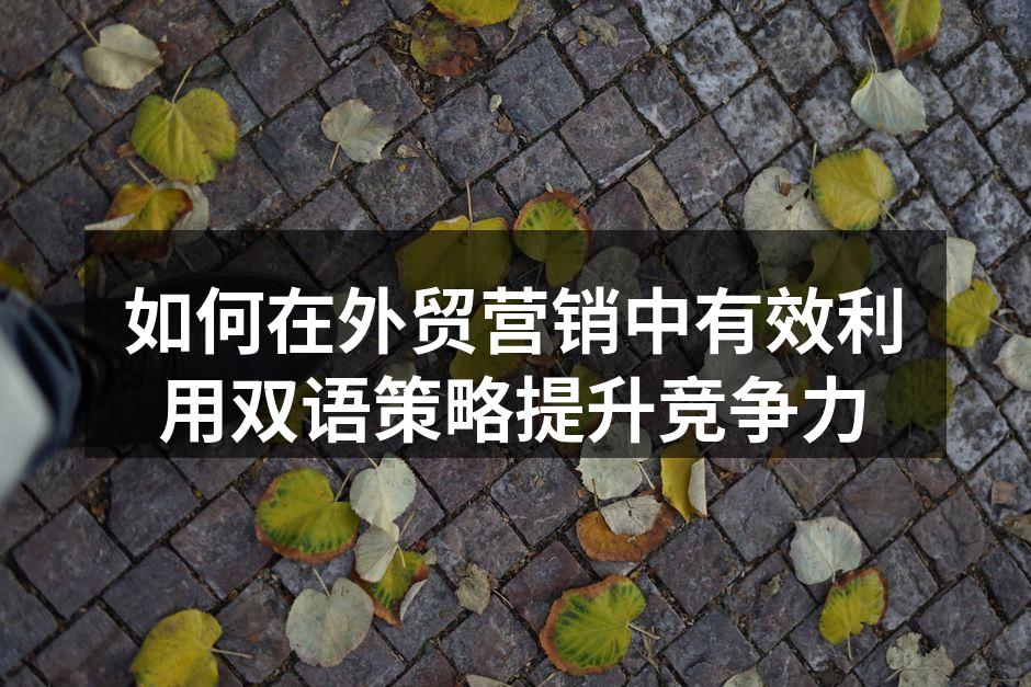 双语营销助力国际化发展