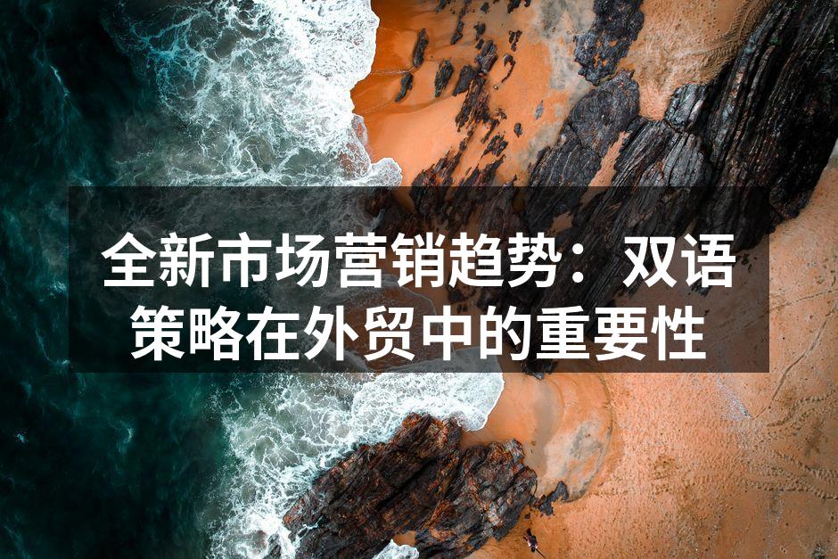 双语营销战略实施