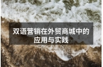 双语营销在外贸商城中的应用与实践