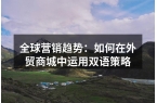 全球营销趋势：如何在外贸商城中运用双语策
